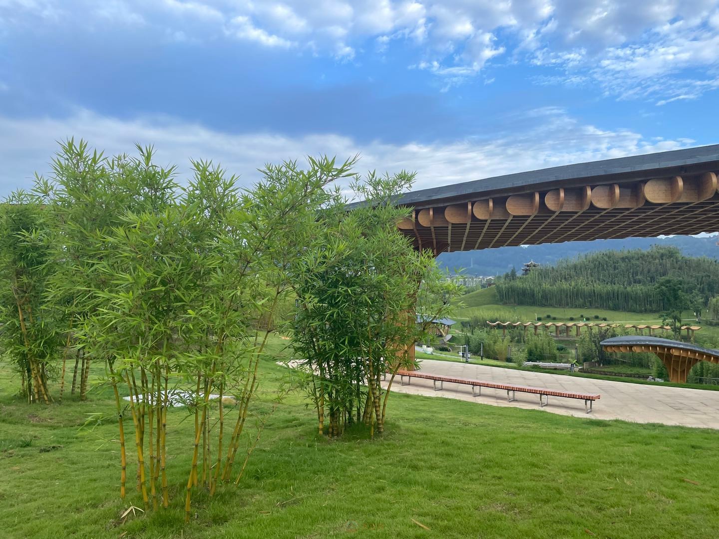 大宜宾-今日宜宾-竹文化公园打卡 - powered by discuz!